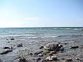 Western Michigan [2010] 802